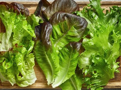 La lechuga está carísima: cultivala en macetas en poco tiempo y con este consejo que no falla