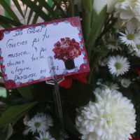 Se congregan en Bellas Artes para despedir al 'Divo de Juárez”