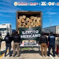 ¿Nopales mexicanos para exportar a EU? No, pastillas de fentanilo (Video)