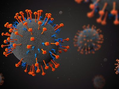 China detectó que 35 personas se contagiaron con un nuevo virus de origen animal