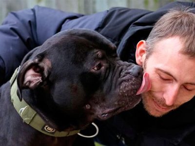 Preocupación por el avance de la hidatidosis, la enfermedad que transmiten los perros y afecta órganos vitales