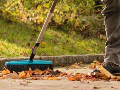 Antes de tirar las hojas secas de tus árboles, mirá los 3 usos que le podés dar a tu jardín