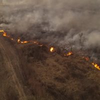 Incendios en Jujuy: varias dotaciones de bomberos trabajan para controlar la situación