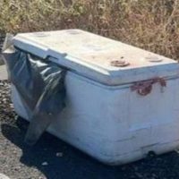 Localizan restos humanos en una hielera en Sinaloa