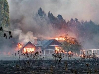 La Patagonia en llamas: Alberto Fernández visitará la zona afectada