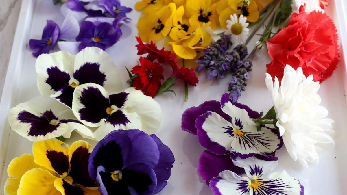 Flores comestibles. Fuente: (Instagram)