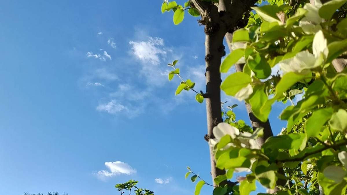 Parcialmente nublado pero en general un día agradable se pronostica para este sábado en Mendoza.