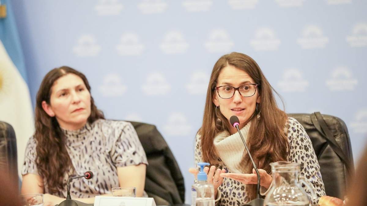 La ministra Gómez Alcorta durante sus declaraciones. Fuente: (Twitter)