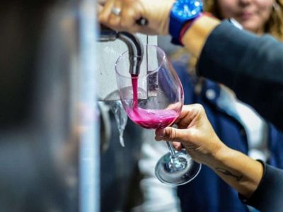 Neuquén celebró el Día del Malbec con eventos, tours y descuentos en toda la provincia
