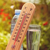 Clima en Neuquén: calor extremo para este viernes
