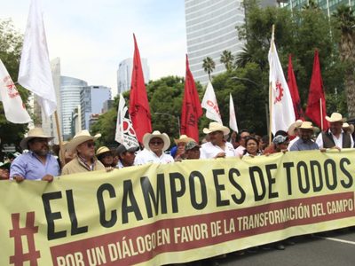Organizaciones campesinas marchan y exigen diálogo con AMLO