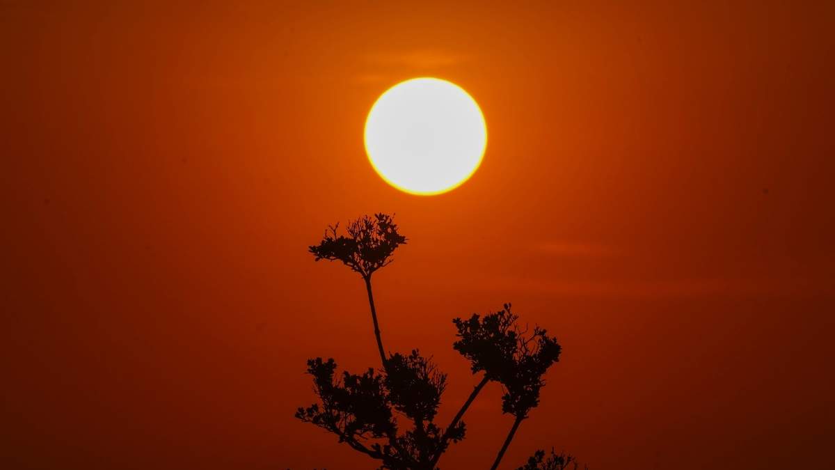 Sale el sol en medio de altas temperaturas en Ciudad de México, este 23 de mayo