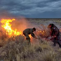 “Es el incendio más difícil”: Omar Gutiérrez habló sobre la situación en Aluminé