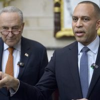 Activistas demócratas critican a su partido por postura ante Trump