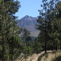 Montañistas alertan por riesgo de que áreas naturales protegidas sean controladas por el crimen
