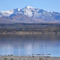 Prohíben el acceso al Parque Nacional Laguna Blanca por la aparición de una peligrosa cianobacteria