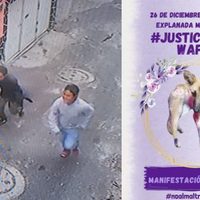 Buscan a dos hombres por asesinar a la perrita "Waffle" en Milpa Alta