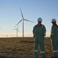 YPF Luz anunció que el Parque Eólico Los Teros I comenzó a entregar energía al sistema nacional