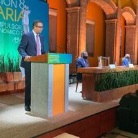 México podría obtener hasta 30 mil mdp del impuesto mínimo global a corporativos: Yorio