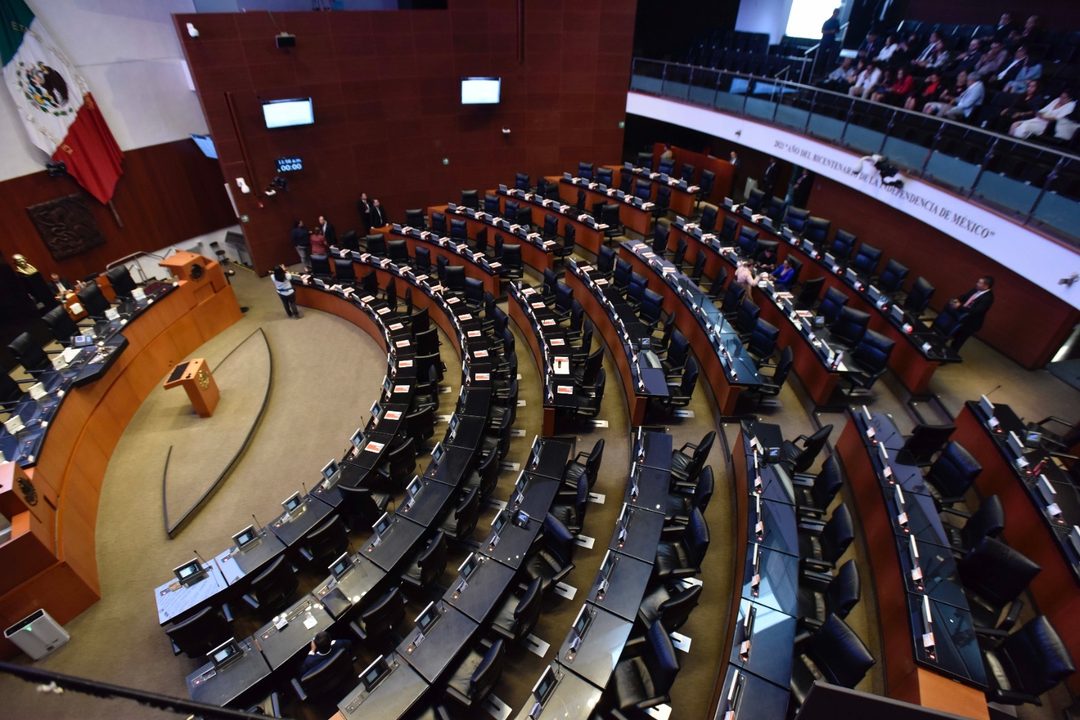 Senado en línea