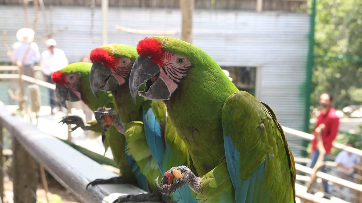 En 365 días, Tamaulipas avanza en salvaguardar recursos naturales y proteger a la flora y fauna