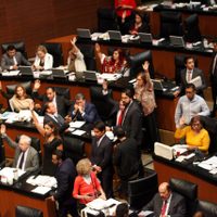 Senado avala en lo general la reforma educativa; PAN y Álvarez Icaza votan en contra