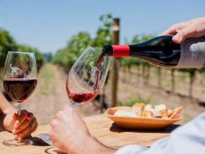 Verano en la Patagonia: la imperdible ruta del vino para disfrutar entre paisajes y bodegas