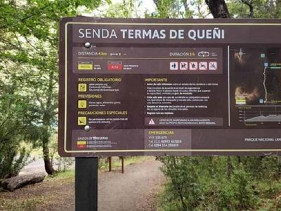 Crueldad animal en cercanías a las Termas de Queñi: denunciaron una matanza de animales
