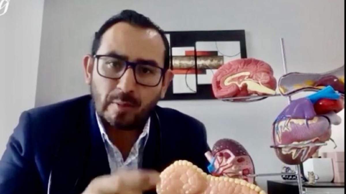Profesor de la Facultad de Medicina de la UNAM