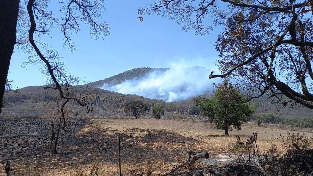 Incendio en el Cerro del Águila ubicado entre Morelia y Lagunillas