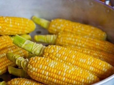 Comunidades de Oaxaca alertan que nuevas biotecnologías son para extinguir especies nativas