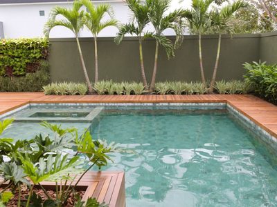 3 plantas que aguantan todo, son fáciles de cuidar y perfectas si tenés pileta en tu jardín