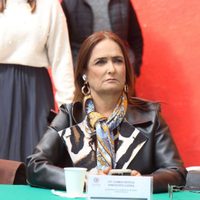 Diputada de Morena propone que los periodistas den a conocer sus ingresos