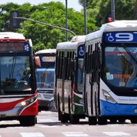 Paro de colectivos: cómo funciona el servicio de transporte este viernes
