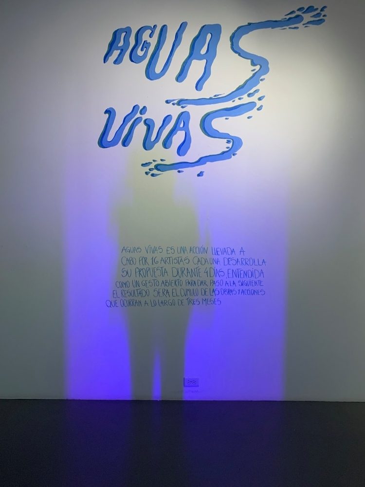 aguas-vivas