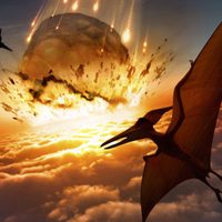 Increíble: encontraron a un dinosaurio que murió cuando el letal meteorito chocó contra la Tierra