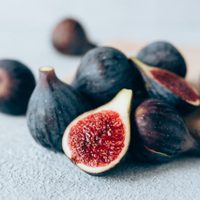 Así de fácil es germinar las semillas de higos y tener tu propia Higuera en maceta o jardín