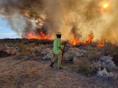El COFEMA declaró de interés una medida que tiene como objetivo prevenir los incendios en Neuquén