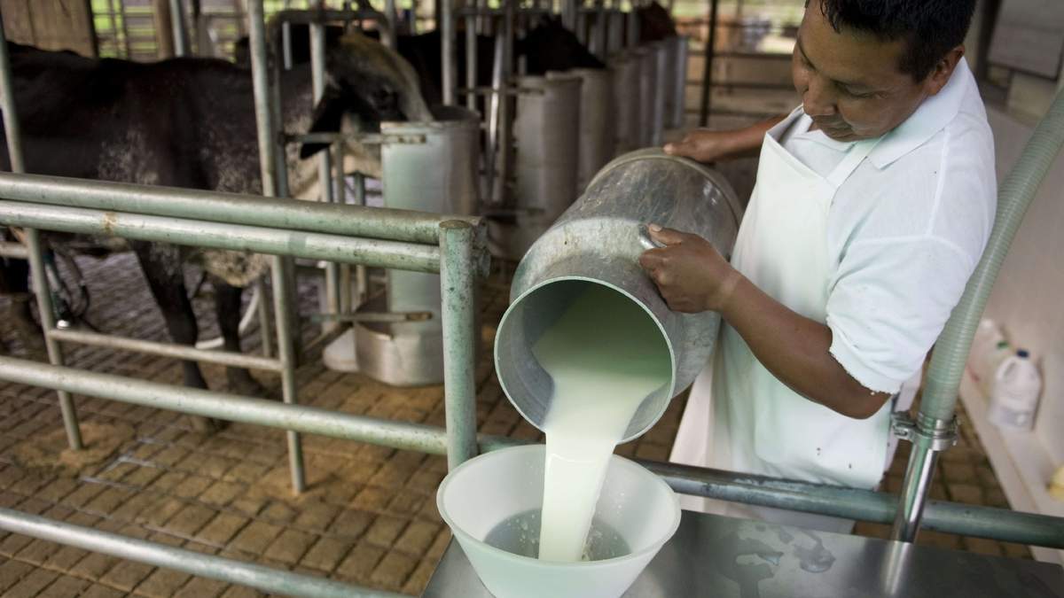 Producción de leche. Fuente: (Twitter)