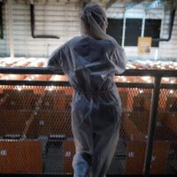 Argentina superó los 10 mil fallecimientos por coronavirus