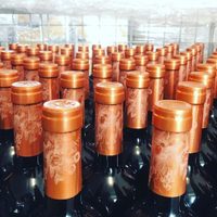 Seis bodegas mendocinas concretaron exportación a Estados Unidos