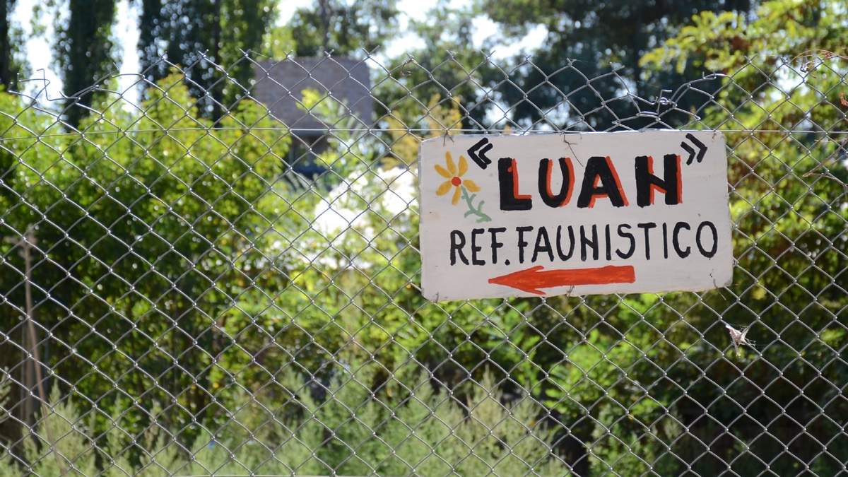 La reserva de Luan trabajó por los animales durante 27 años. Fuente: (Twitter)
