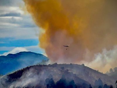 Brigadistas trabajan para contener el incendio en el Parque Nacional Lanín; el viento complicó las tareas