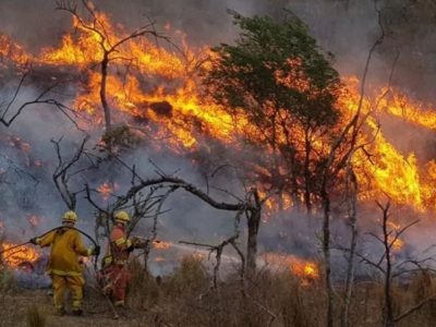 Villa La Angostura se adhirió a la emergencia ígnea impuesta para prevenir nuevos incendios