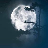 Estas son las fechas de las fases lunares y la lluvia de estrellas para disfrutar en octubre