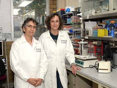 Desarrollan en la UNAM molécula contra el cáncer de mama