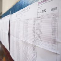 PASO 2021: cuándo estará disponible el padrón electoral para las primarias