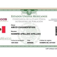 CURP con datos biométricos es un riesgo para la privacidad, seguridad y derechos humanos: R3D