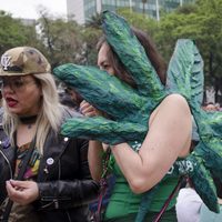 La SCJN rechaza despenalizar la posesión simple de mariguana