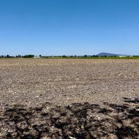 Fabricantes de agroquímicos piden continuidad transexenal para un uso eficaz del agua
